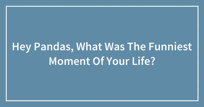 Hey Pandas, What Was The Funniest Moment Of Your Life? (Closed)