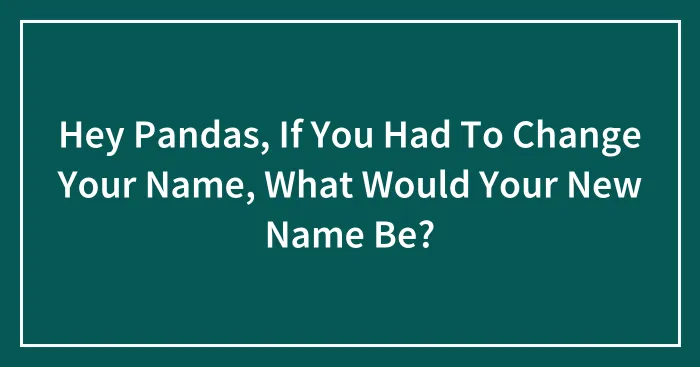 Hey Pandas, If You Had To Change Your Name, What Would Your New Name Be? (Closed)