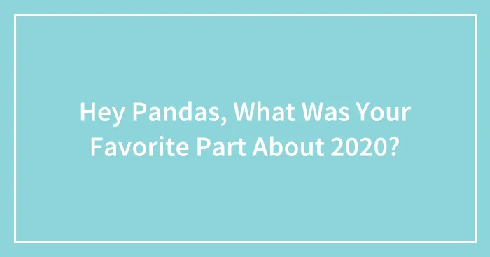 Hey Pandas, What Was Your Favorite Part About 2020? (Closed)