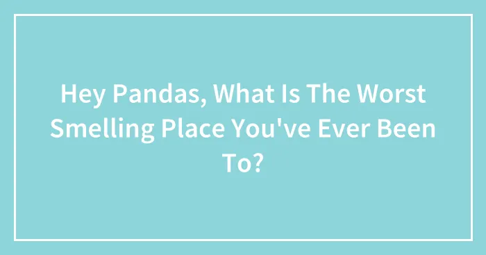 Hey Pandas, What Is The Worst Smelling Place You've Ever Been To? (Closed)