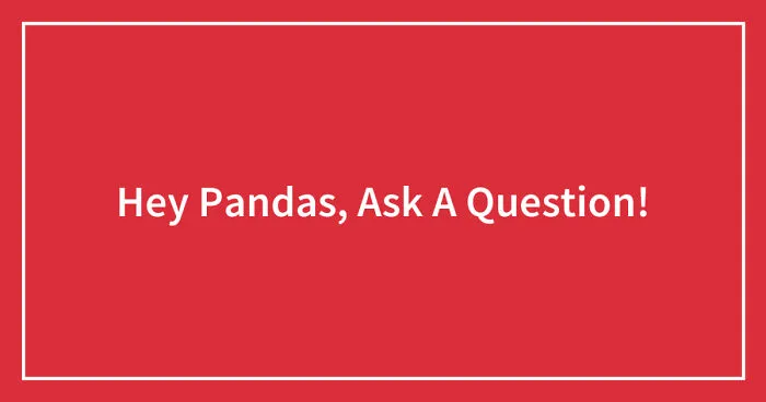 Hey Pandas, Ask A Question! (Closed)
