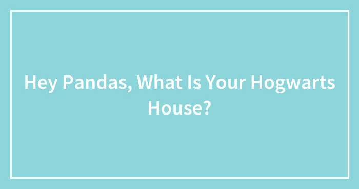 Hey Pandas, What Is Your Hogwarts House? (Closed)