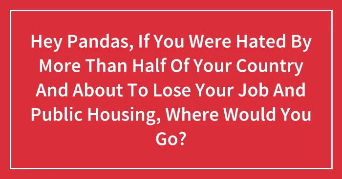 Hey Pandas, If You Were Hated By More Than Half Of Your Country And About To Lose Your Job And Public Housing, Where Would You Go? (Closed)
