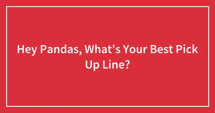Hey Pandas, What's Your Best Pick Up Line? (Closed)