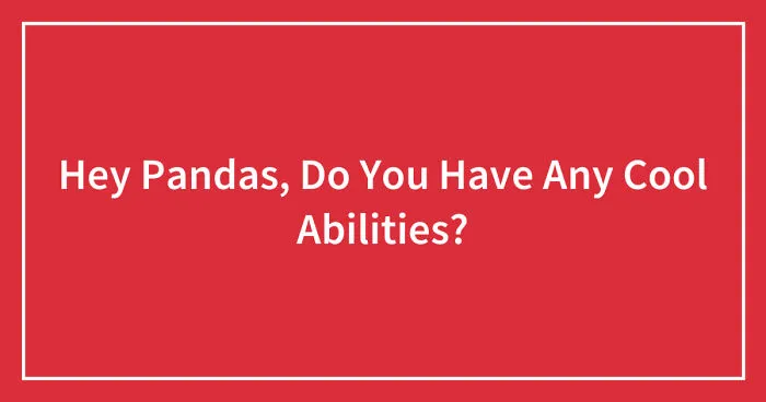Hey Pandas, Do You Have Any Cool Abilities? (Closed)