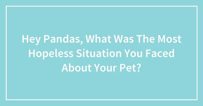 Hey Pandas, What Was The Most Hopeless Situation You Faced About Your Pet? (Closed)