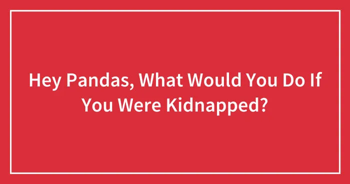 Hey Pandas, What Would You Do If You Were Kidnapped? (Closed)
