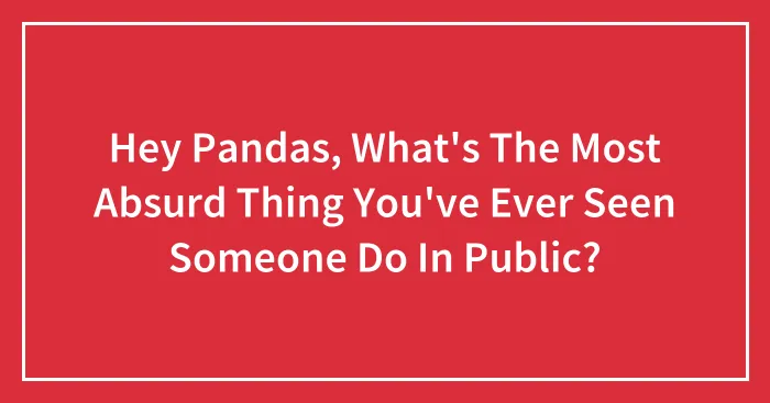 Hey Pandas, What's The Most Absurd Thing You've Ever Seen Someone Do In Public? (Closed)