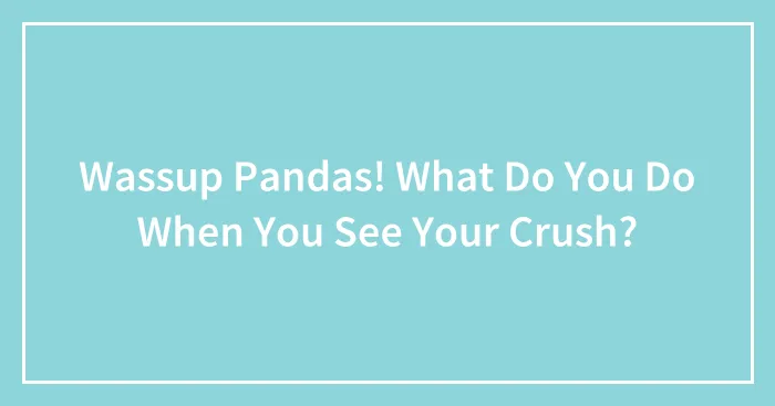 Wassup Pandas! What Do You Do When You See Your Crush?