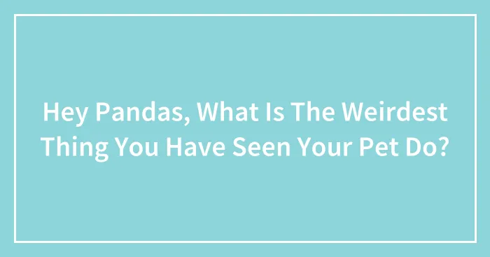 Hey Pandas, What Is The Weirdest Thing You Have Seen Your Pet Do? (Closed)