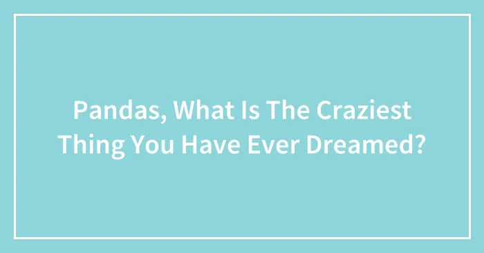 Pandas, What Is The Craziest Thing You Have Ever Dreamed? (Closed)