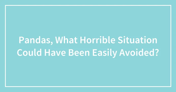 Pandas, What Horrible Situation Could Have Been Easily Avoided? (Closed)