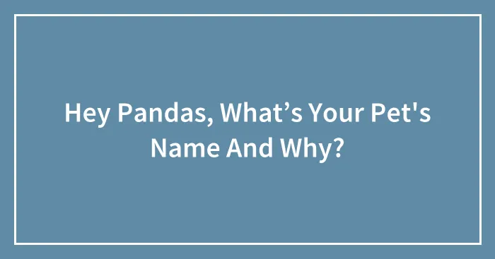 Hey Pandas, What’s Your Pet's Name And Why? (Closed)