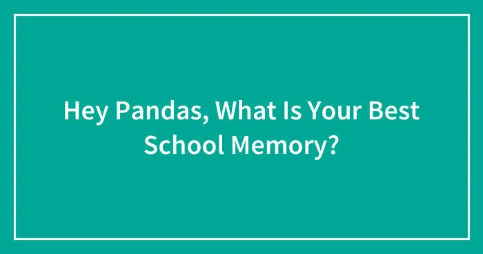 Hey Pandas, What Is Your Best School Memory? (Closed)