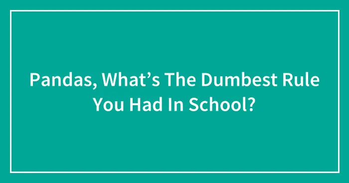 Pandas, What’s The Dumbest Rule You Had In School? (Closed)