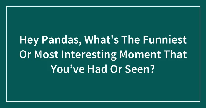 Hey Pandas, What's The Funniest Or Most Interesting Moment That You’ve Had Or Seen? (Closed)