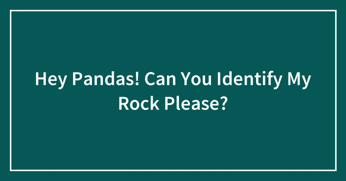 Hey Pandas! Can You Identify My Rock Please?