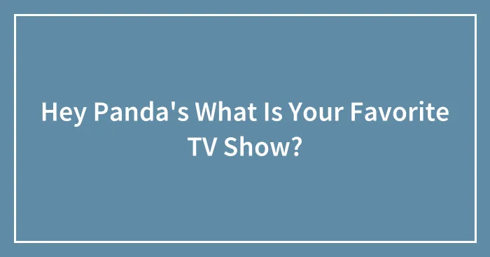 Hey Panda's What Is Your Favorite TV Show?