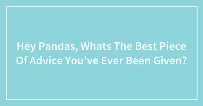 Hey Pandas, Whats The Best Piece Of Advice You've Ever Been Given? (Closed)