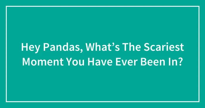 Hey Pandas, What’s The Scariest Moment You Have Ever Been In? (Closed)