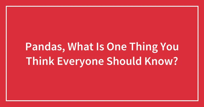Pandas, What Is One Thing You Think Everyone Should Know?