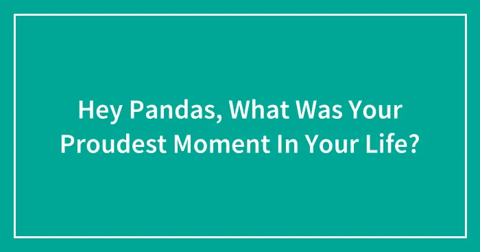Hey Pandas, What Was Your Proudest Moment In Your Life? (Closed)