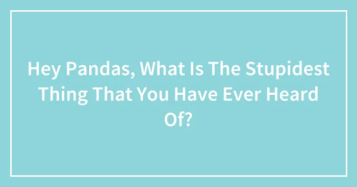 Hey Pandas, What Is The Stupidest Thing That You Have Ever Heard Of? (Closed)