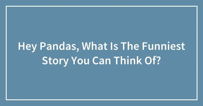 Hey Pandas, What Is The Funniest Story You Can Think Of? (Closed)