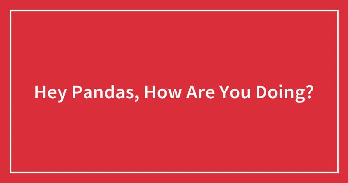 Hey Pandas, How Are You Doing? (Closed)