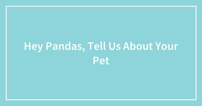 Hey Pandas, Tell Us About Your Pet (Closed)