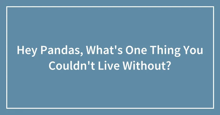 Hey Pandas, What's One Thing You Couldn't Live Without? (Closed)