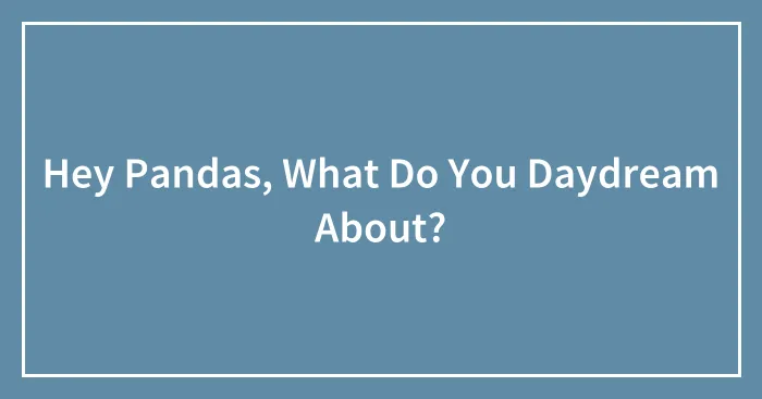 Hey Pandas, What Do You Daydream About? (Closed)