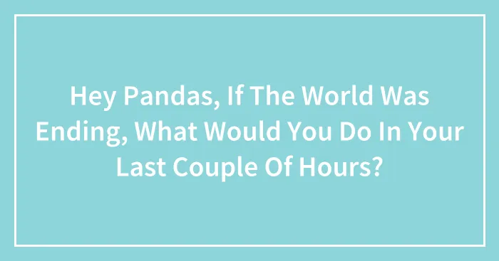 Hey Pandas, If The World Was Ending, What Would You Do In Your Last Couple Of Hours? (Closed)