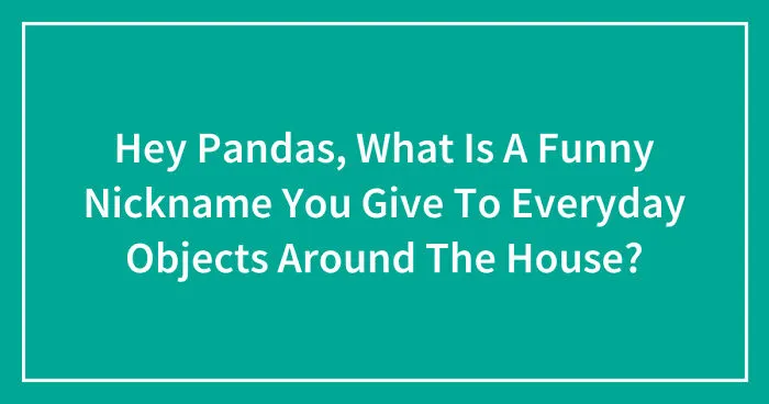 Hey Pandas, What Is A Funny Nickname You Give To Everyday Objects Around The House? (Closed)