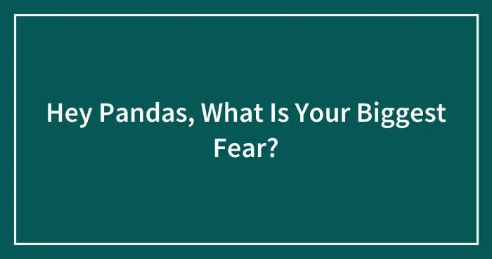 Hey Pandas, What Is Your Biggest Fear? (Closed)