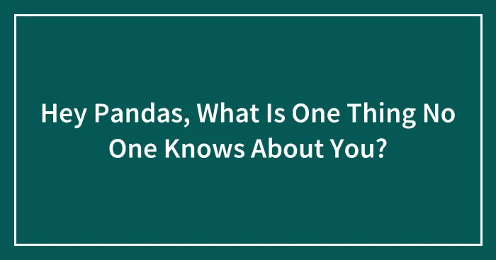 Hey Pandas, What Is One Thing No One Knows About You? (Closed)