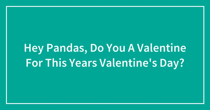 Hey Pandas, Do You A Valentine For This Years Valentine's Day? (Closed)