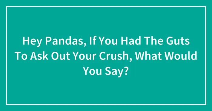 Hey Pandas, If You Had The Guts To Ask Out Your Crush, What Would You Say? (Closed)