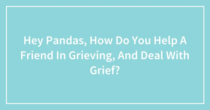 Hey Pandas, How Do You Help A Friend In Grieving, And Deal With Grief? (Closed)
