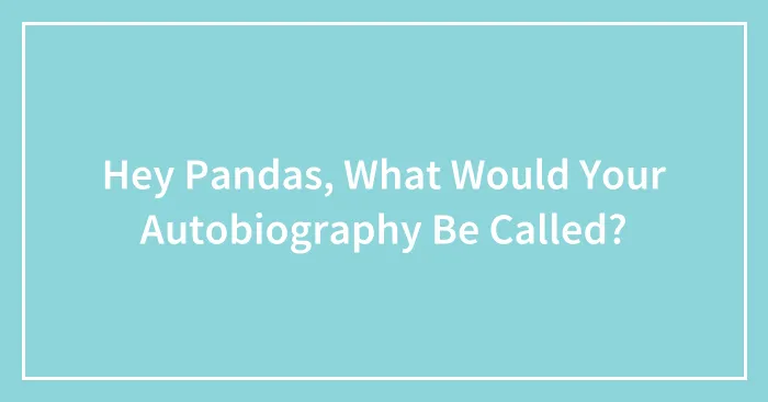 Hey Pandas, What Would Your Autobiography Be Called? (Closed)