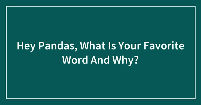 Hey Pandas, What Is Your Favorite Word And Why? (Closed)