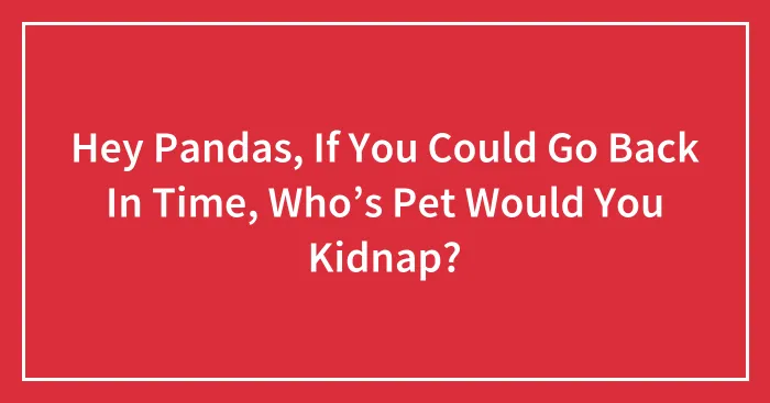 Hey Pandas, If You Could Go Back In Time, Who’s Pet Would You Kidnap?