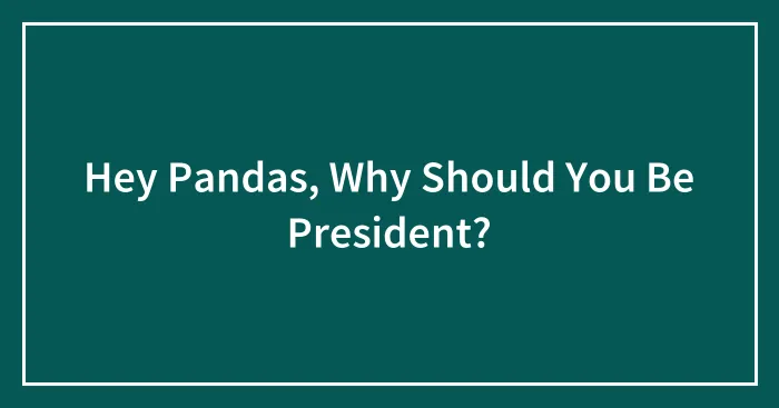 Hey Pandas, Why Should You Be President? (Closed)