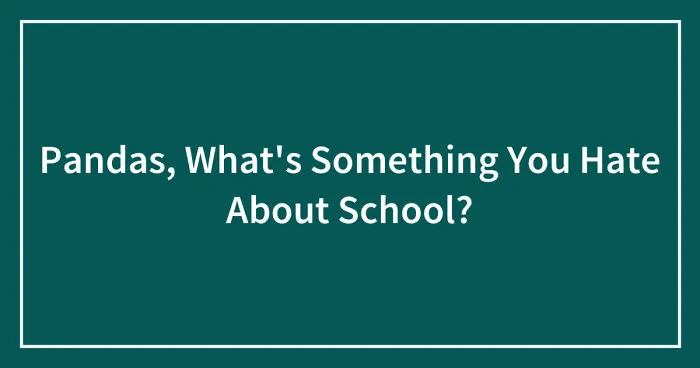 Pandas, What's Something You Hate About School? (Closed)