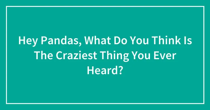 Hey Pandas, What Do You Think Is The Craziest Thing You Ever Heard? (Closed)