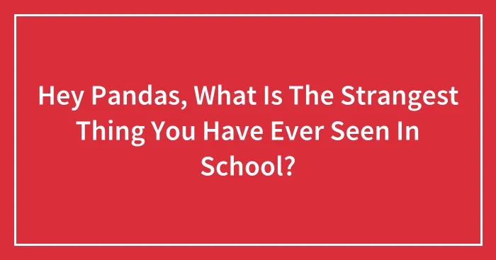 Hey Pandas, What Is The Strangest Thing You Have Ever Seen In School? (Closed)