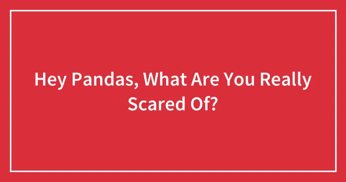 Hey Pandas, What Are You Really Scared Of? (Closed)