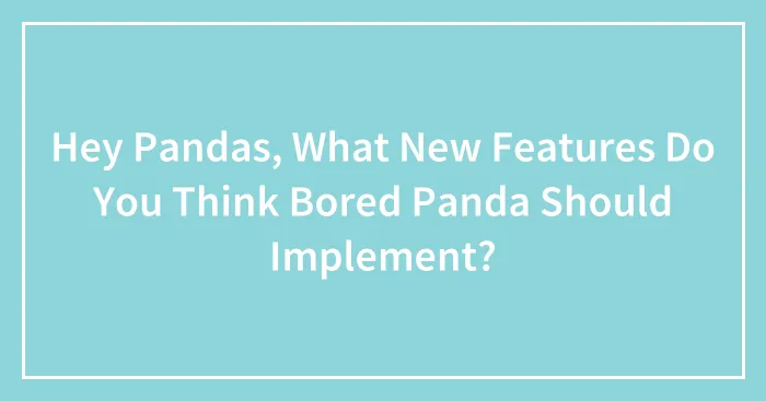 Hey Pandas, What New Features Do You Think Bored Panda Should Implement? (Closed)