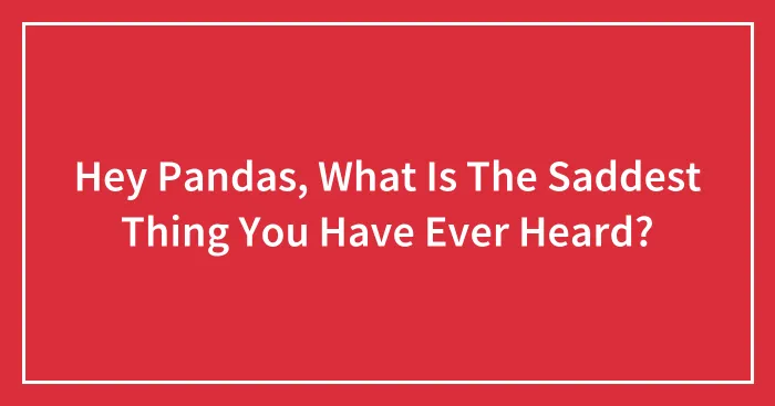 Hey Pandas, What Is The Saddest Thing You Have Ever Heard? (Closed)