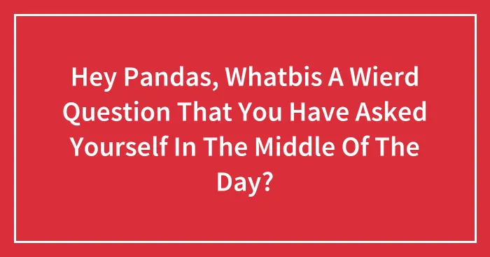 Hey Pandas, Whatbis A Wierd Question That You Have Asked Yourself In The Middle Of The Day?